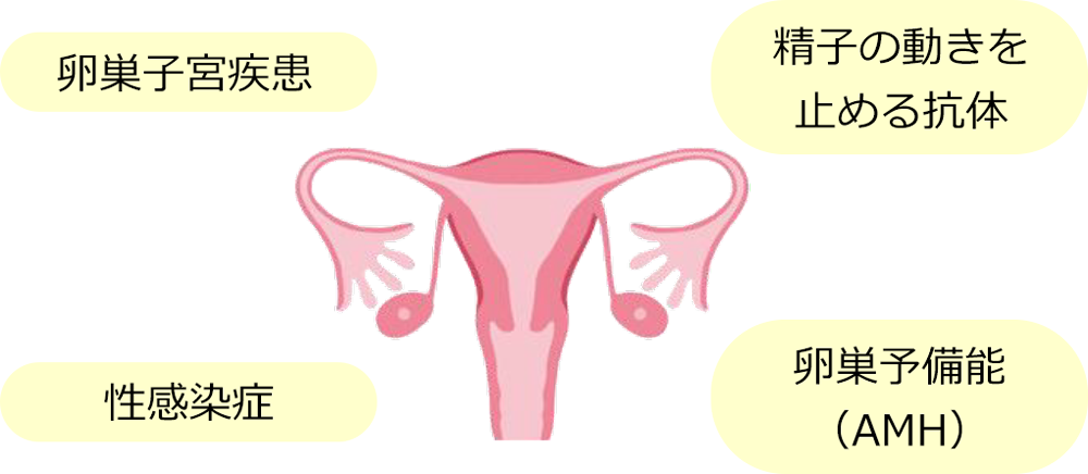 女性検査：卵巣子宮疾患、精子の動きを止める抗体、性感染症、卵巣予備能（AMH）