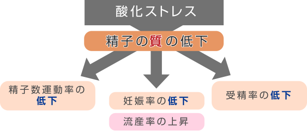 酸化ストレス